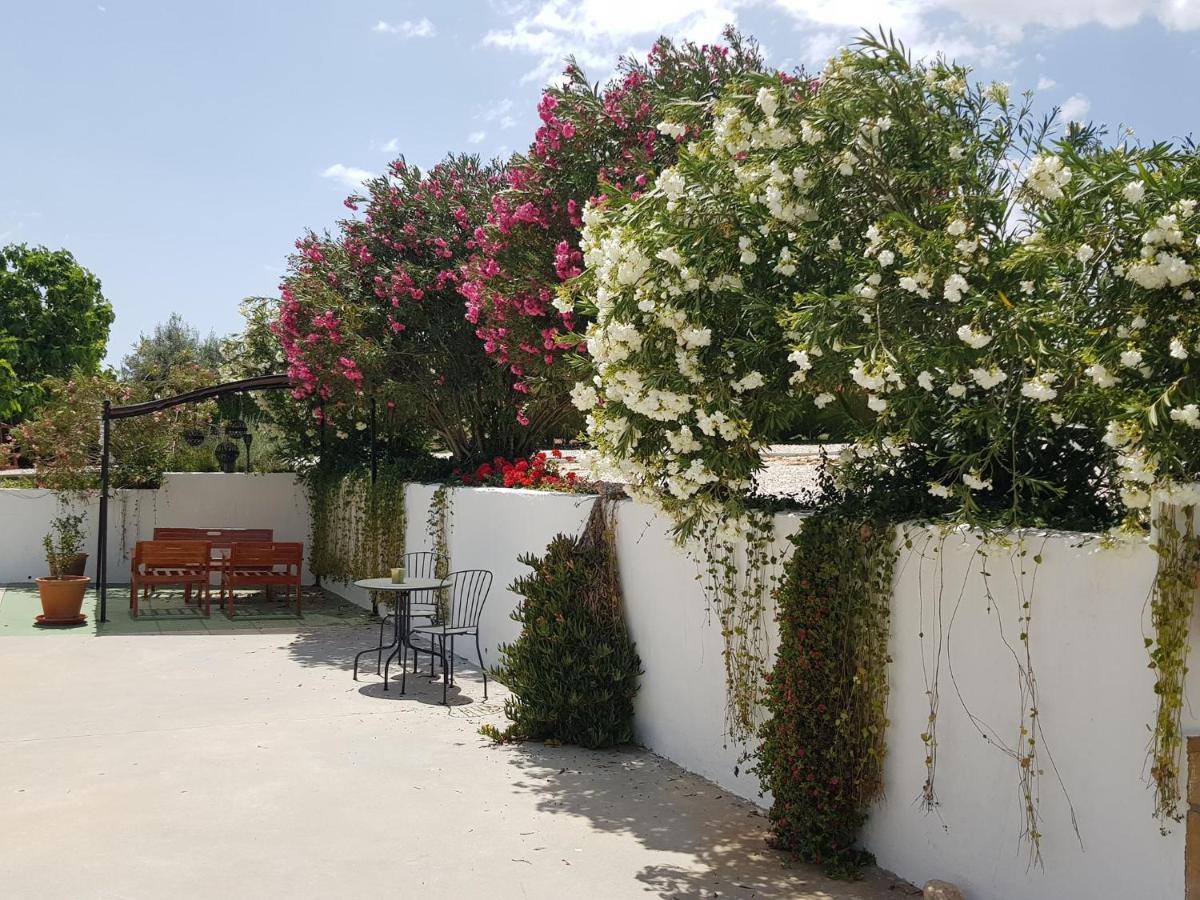 Casa Olivar Couette-café